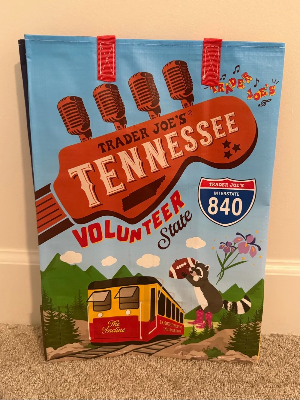 Trader Joe’s reusable Tennessee bag